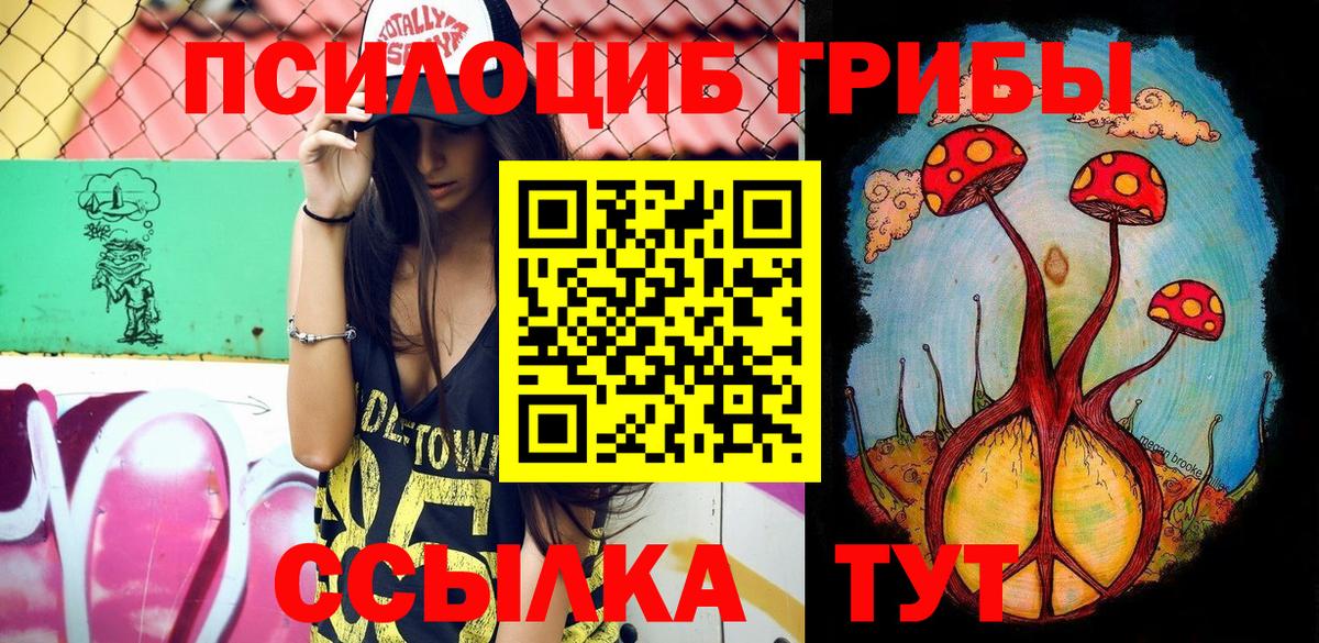 где купить наркоту  Псилоцибиновые грибы прущие грибы  Псилоцибиновые грибы ЛСД  Вход с VPN  Сосновый Бор 