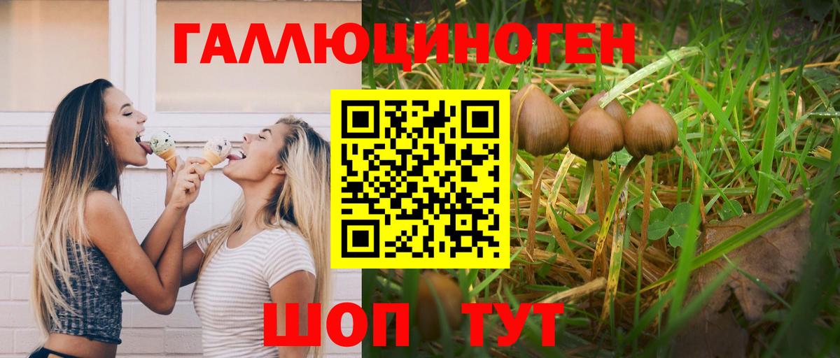 Галлюциногенные грибы Cubensis Сосновый Бор