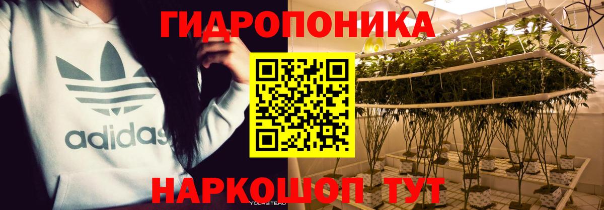Сосновый Бор  Конопля OG Kush  Бошки Шишки индика  Вход с VPN 