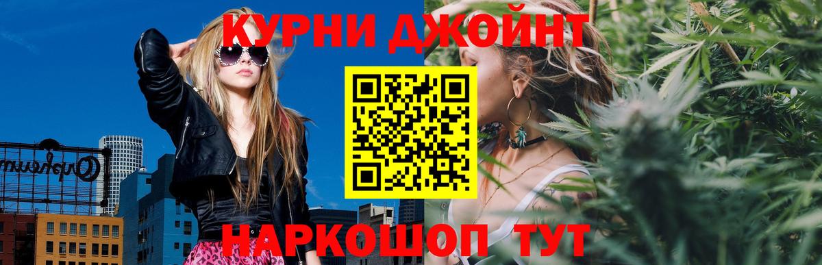 Канабис сатива Сосновый Бор